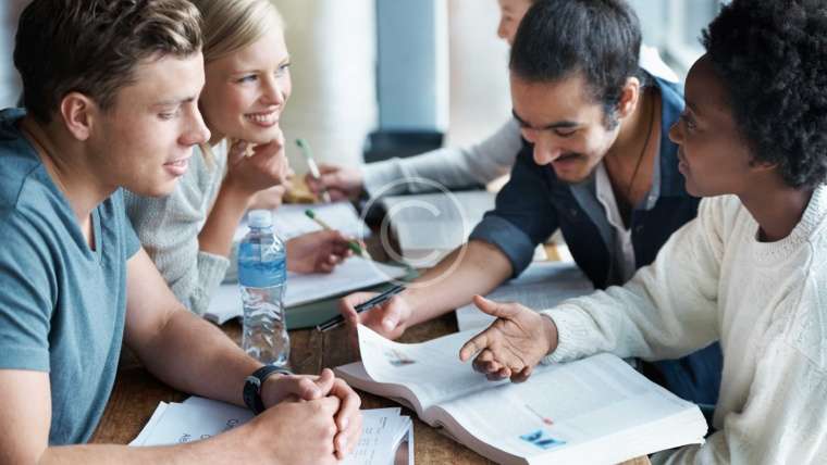 Everything about the World's Language Groups