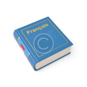French Advanced Course